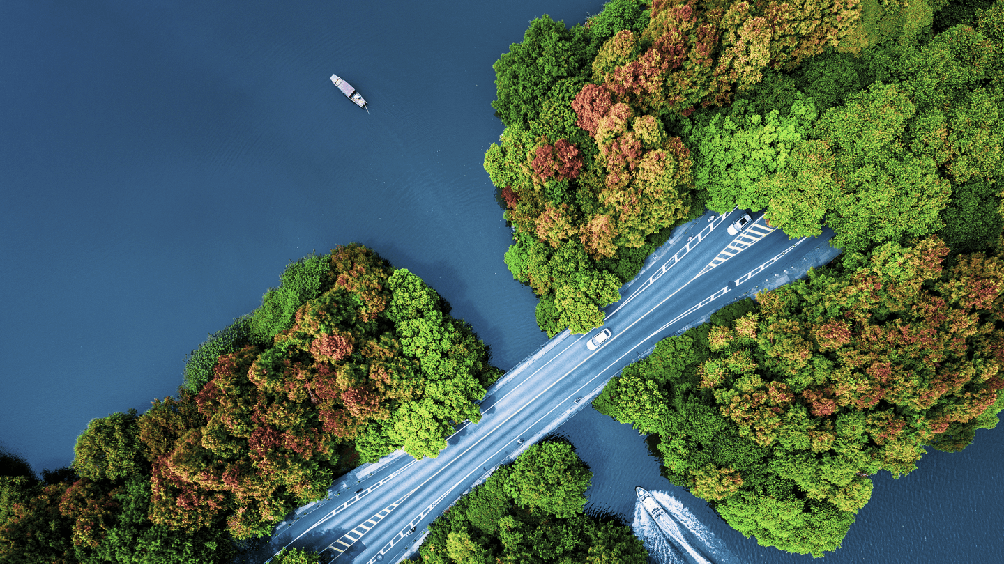 The West Lake Culture