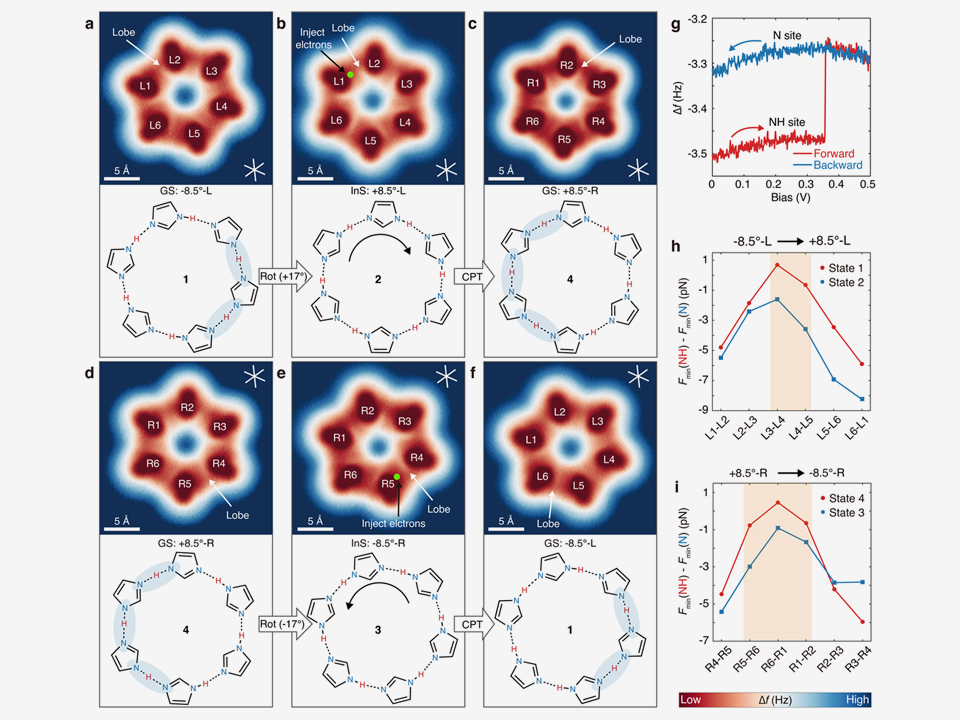 Atomic Force Spectroscopy Reveals Symmetry Breaking in Proton Arrangement of Surface-Confined Cyclic Hydrogen Bonds