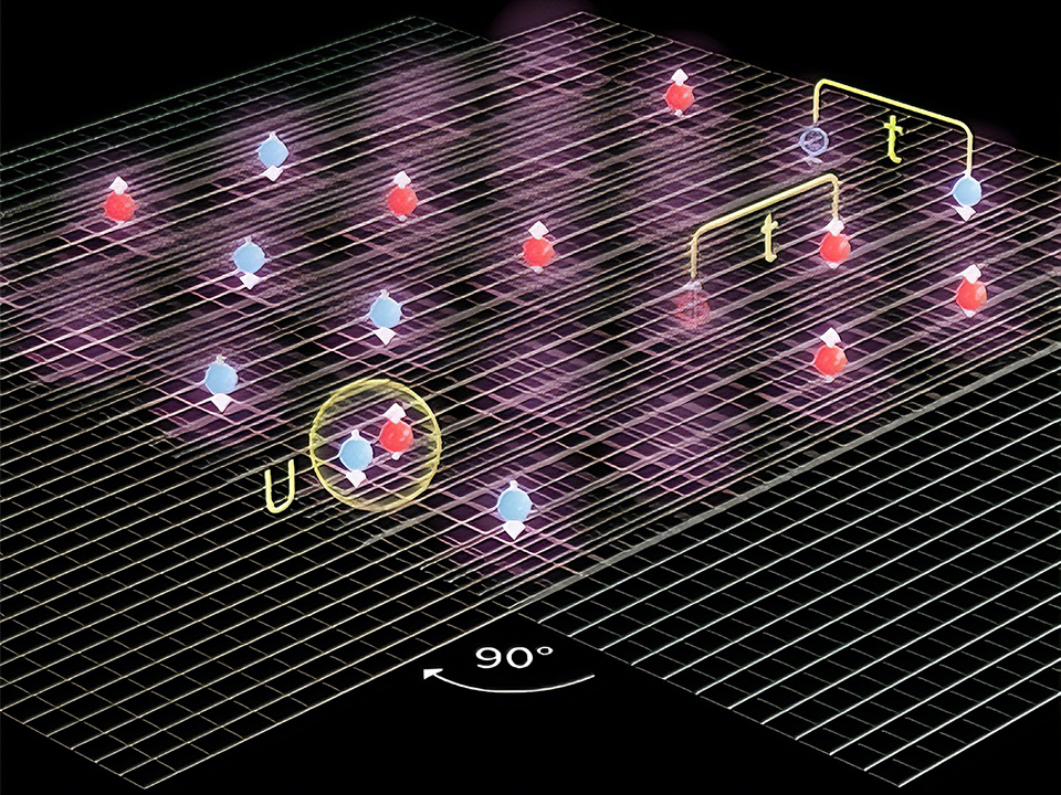 A Simple Twist Unlocks Square-Lattice Moiré Quantum Materials