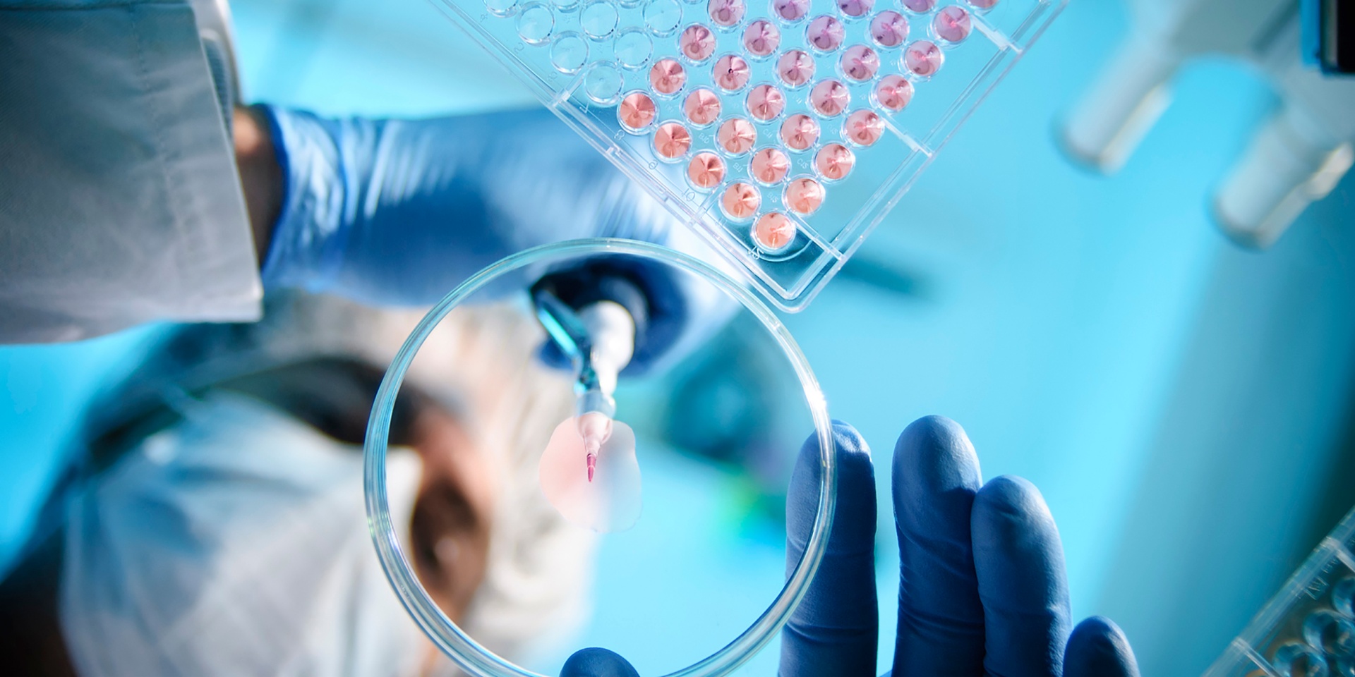 Life Sciences