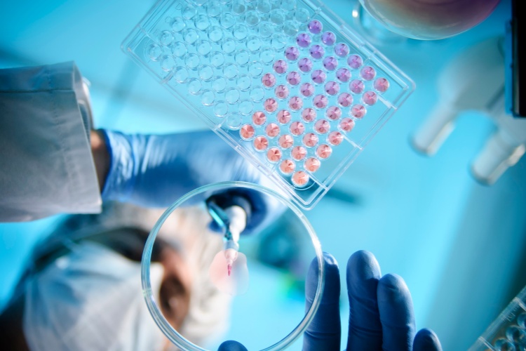 Life Sciences