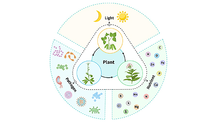 植物与环境互作实验室