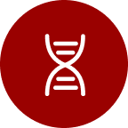 生命科学（含生物医学）